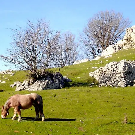 Berria Par La Maison De Pierre هاسبارن