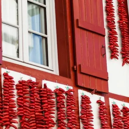 호텔 Berria Par La Maison De Pierre 아스파랑