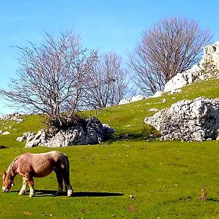 Berria Par La Maison De Pierre Hasparren