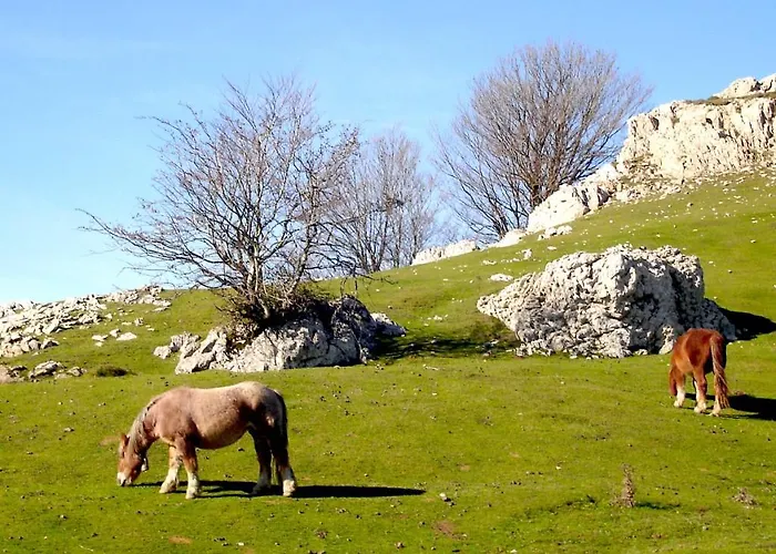 Berria Par La Maison De Pierre האספארן